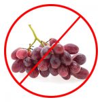 Grapes are bad for dogs
