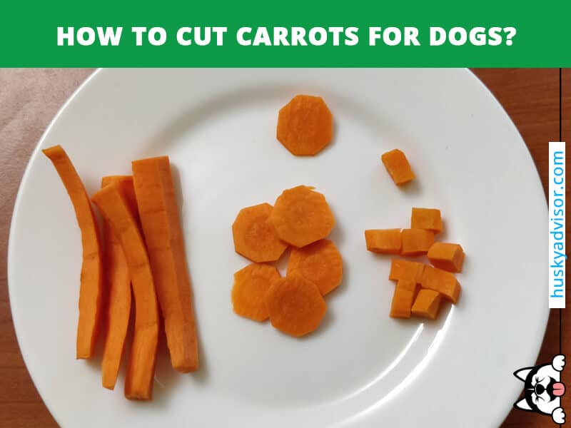 how many carrots can i feed my dog