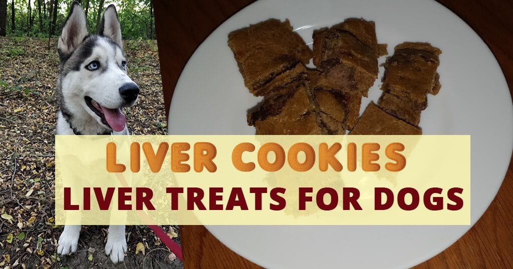 homemade-treats-for-dogs-liver