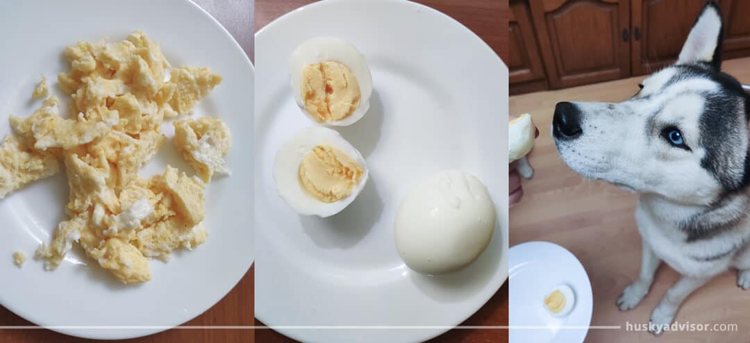 can golden retrievers eat boiled eggs