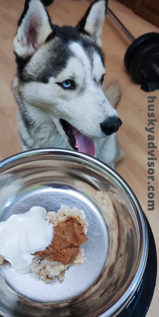 husky can eat oatmeal and peanut butter
