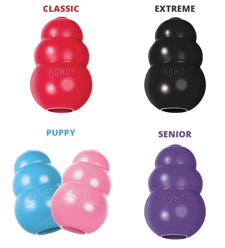 What is a KONG dog toy? Husky Advisor For what do I use KONG toy?