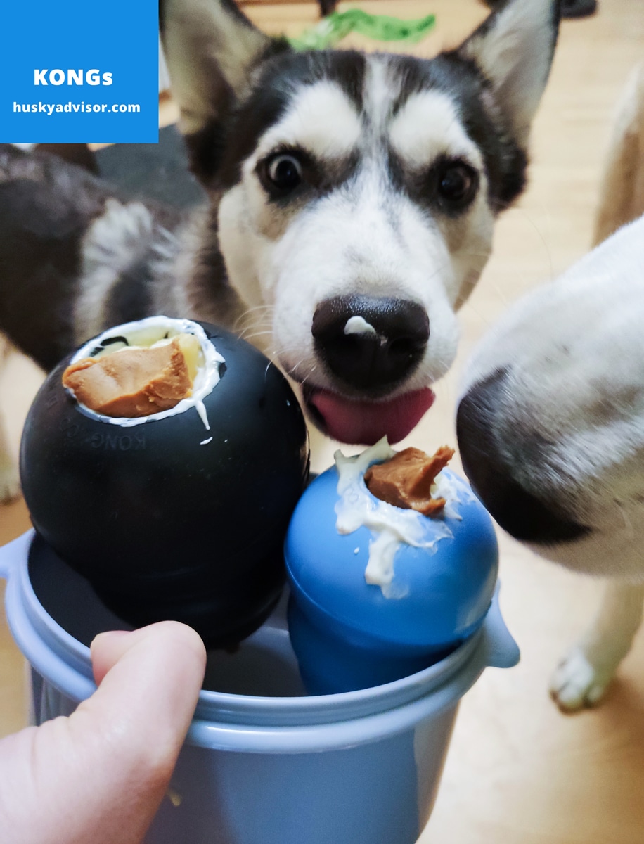 things to put in kongs for puppies