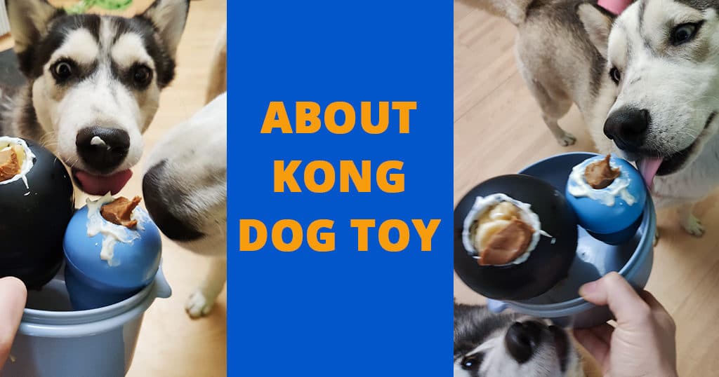 what-is-kong-dog-toy-stuffed