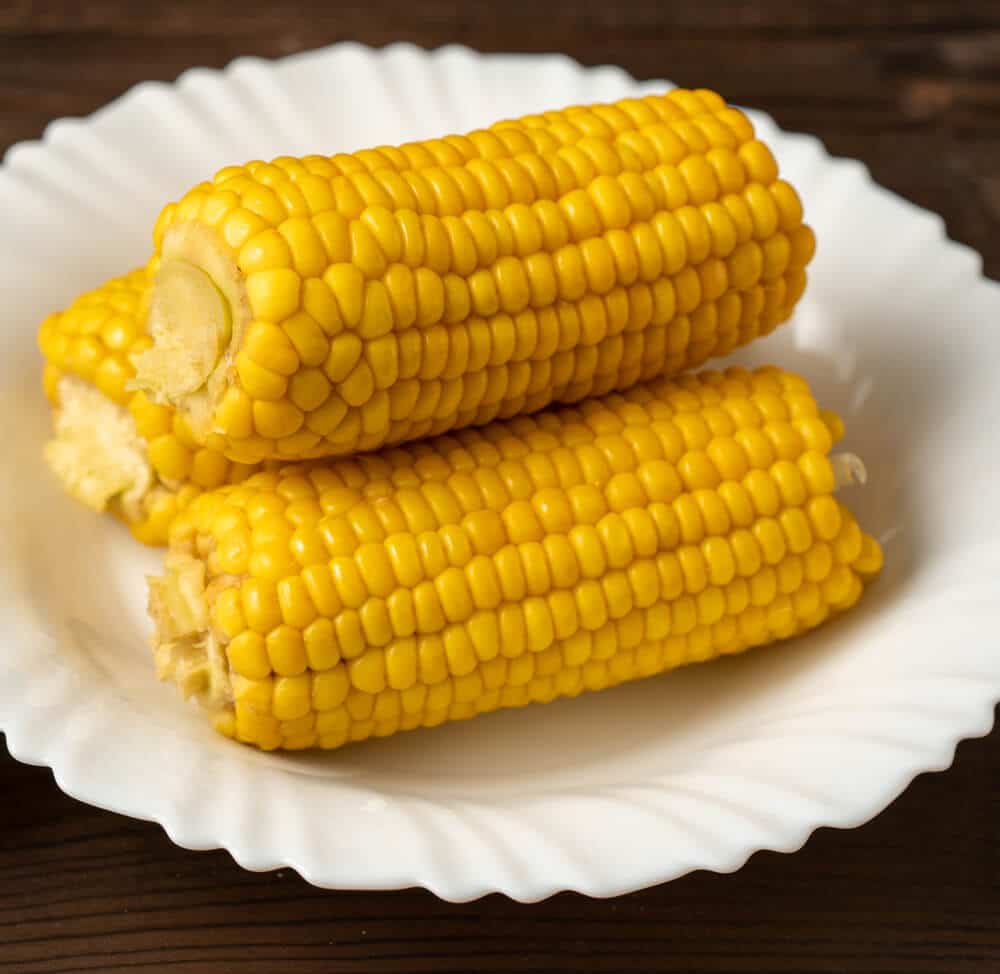 is corn on the cob bad for dogs