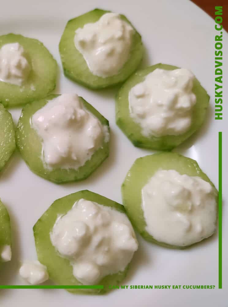 Cucumber treats for Siberian huskies