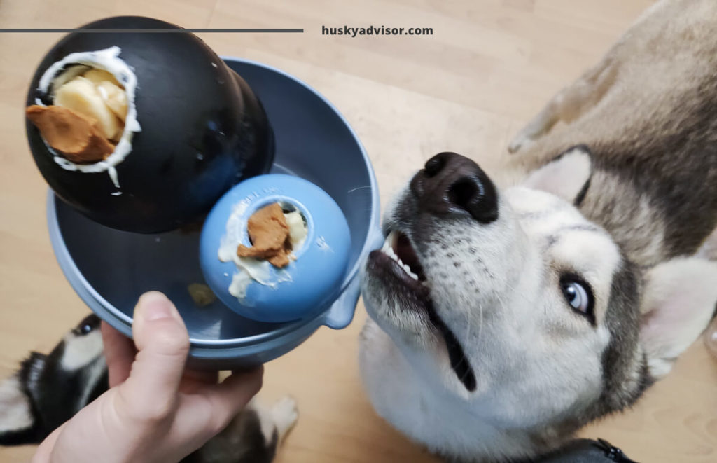 can dogs eat creamy peanut butter