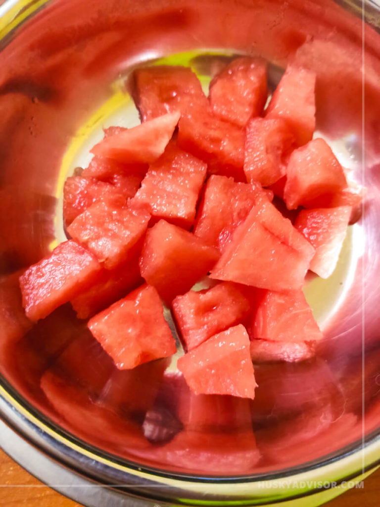 Watermelon for dogs