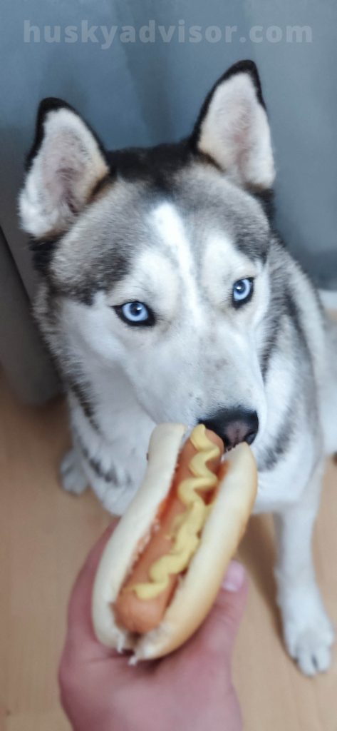 can my husky eat mustard hot dogs