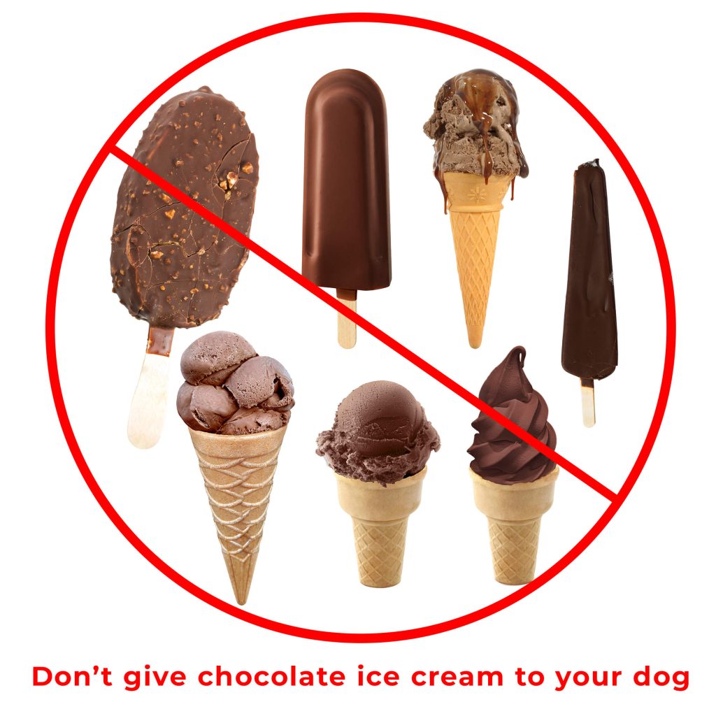 chocolate ice cream is bad for dogs