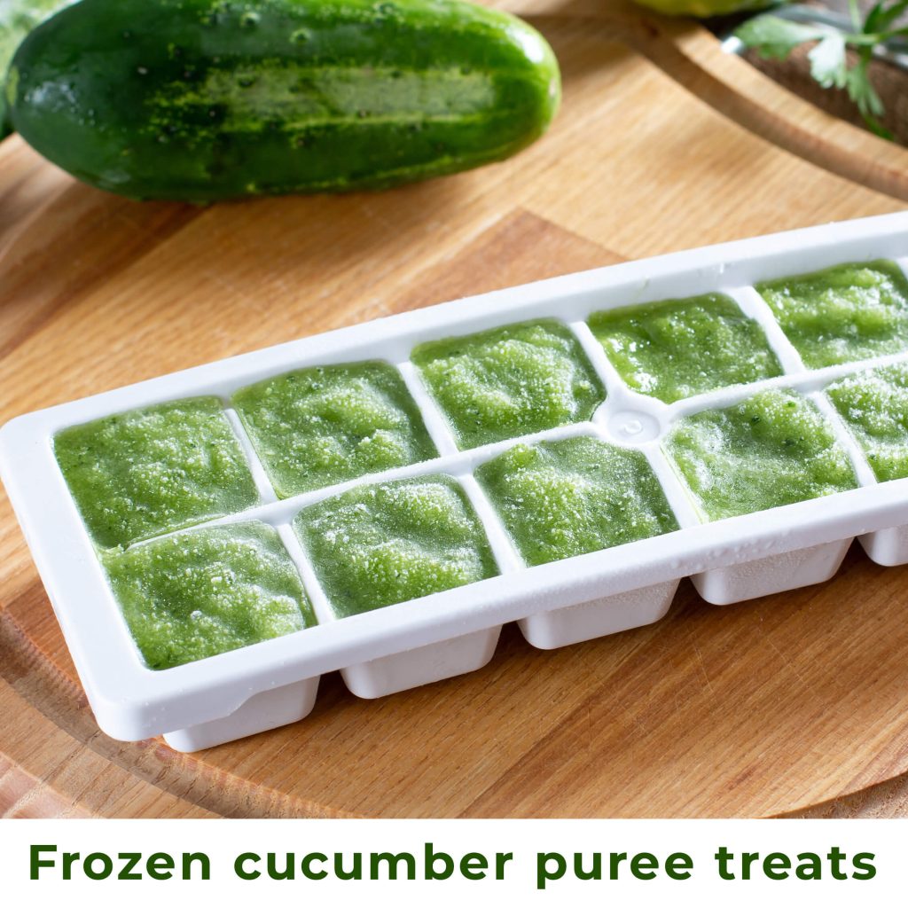 dog treats frozen cucumber puree
