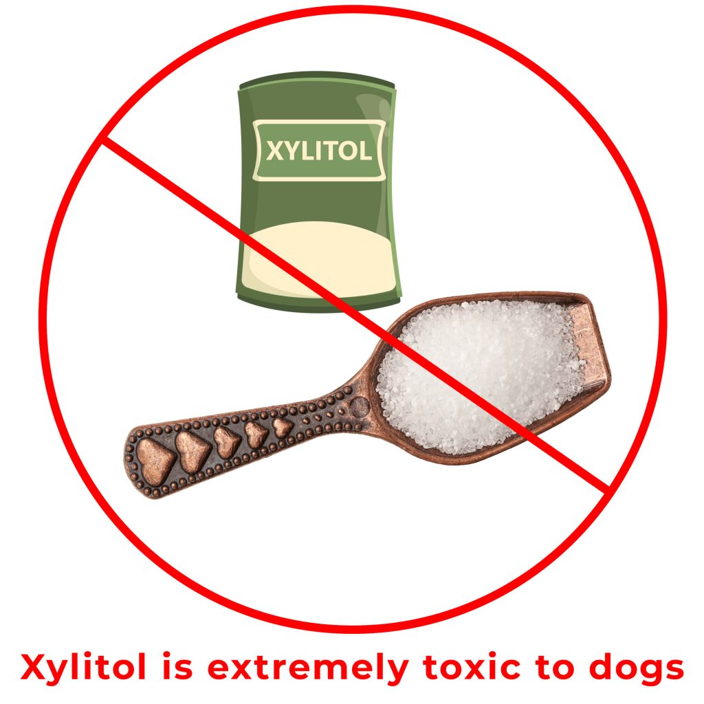 xylitol is bad for dogs toxic