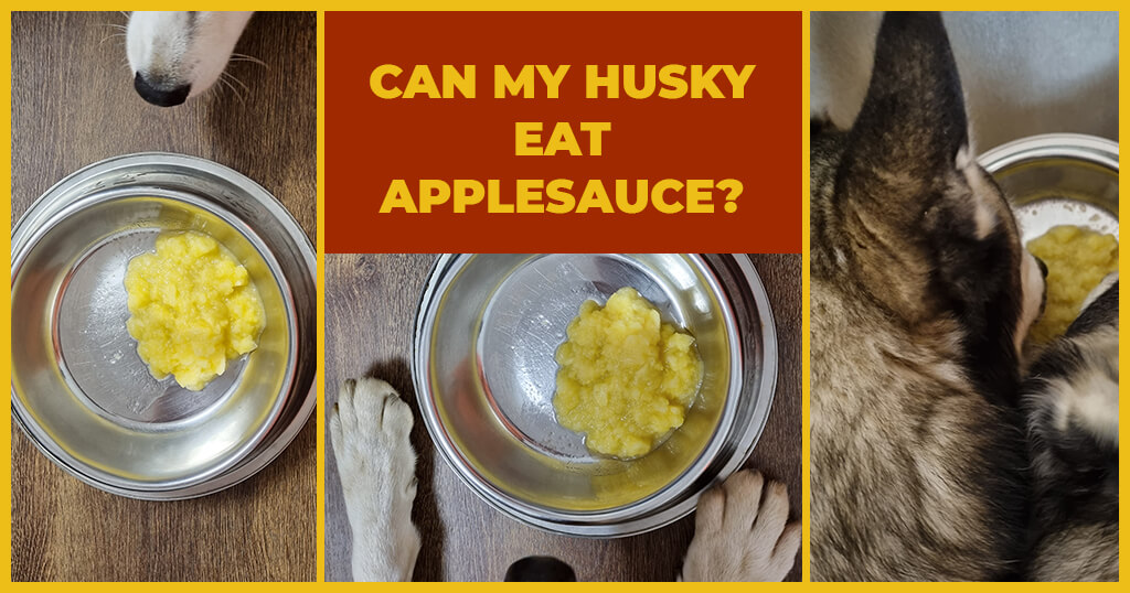 what does applesauce do for dogs