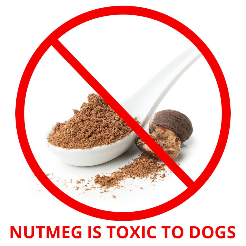 Nutmeg is bad for dogs