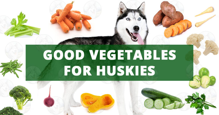 good-vegetables-husky-siberian-dogs