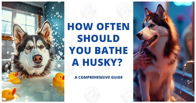 how often should you bathe a husky