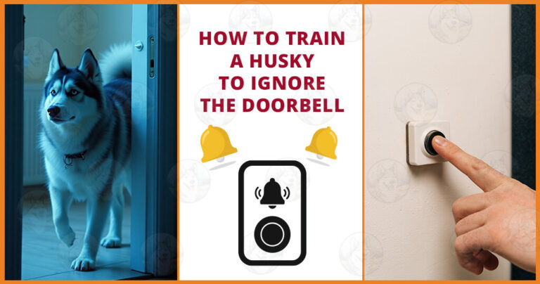 How to train a Husky to ignore the doorbell