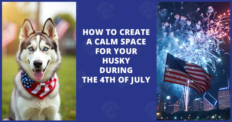 How to create a calm space for your Husky during the 4th of July