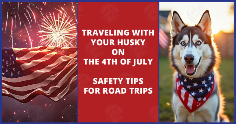 Traveling with your Husky on the 4th of July Safety tips for road trips